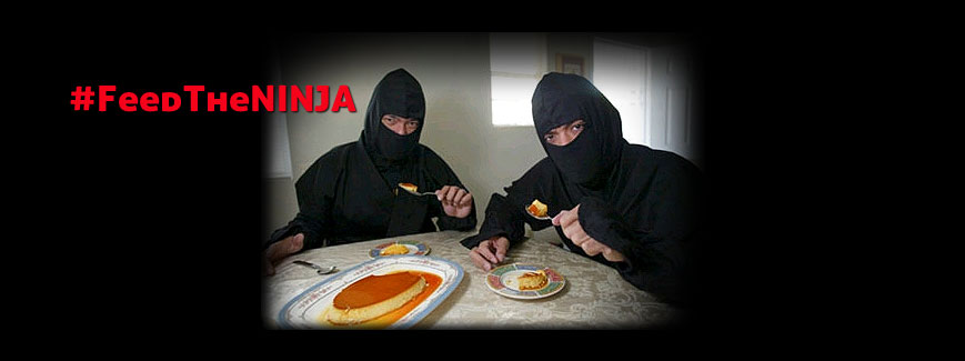 ninja gear