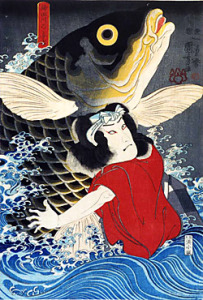 koi tsukami